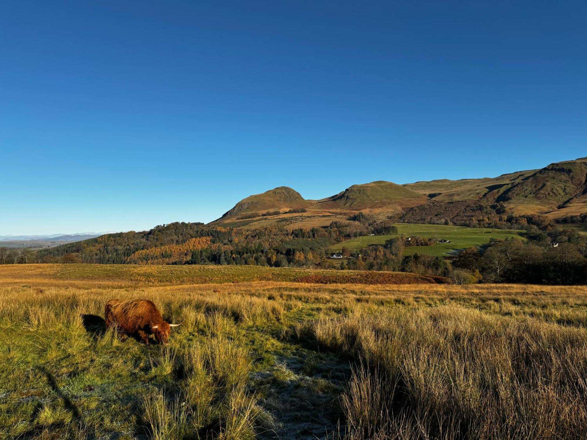 Hotel The West Highland Way Pitches à Glasgow Extérieur photo